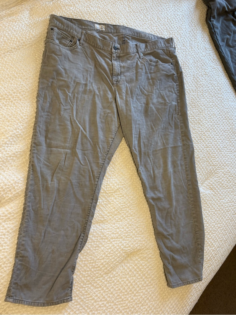 GAP Light Gray Casual Pants with Button Detail